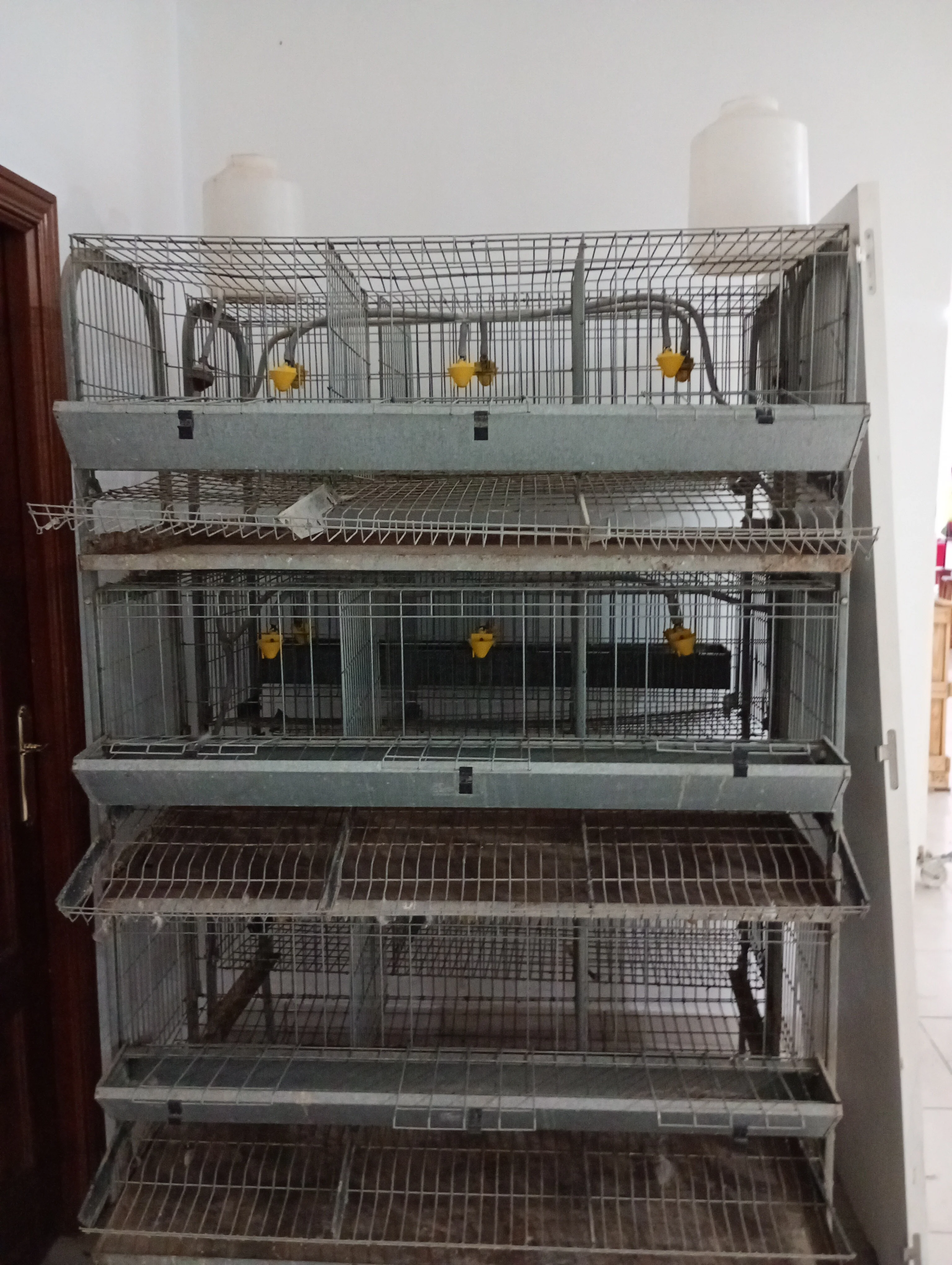 Jaula de Gallinas