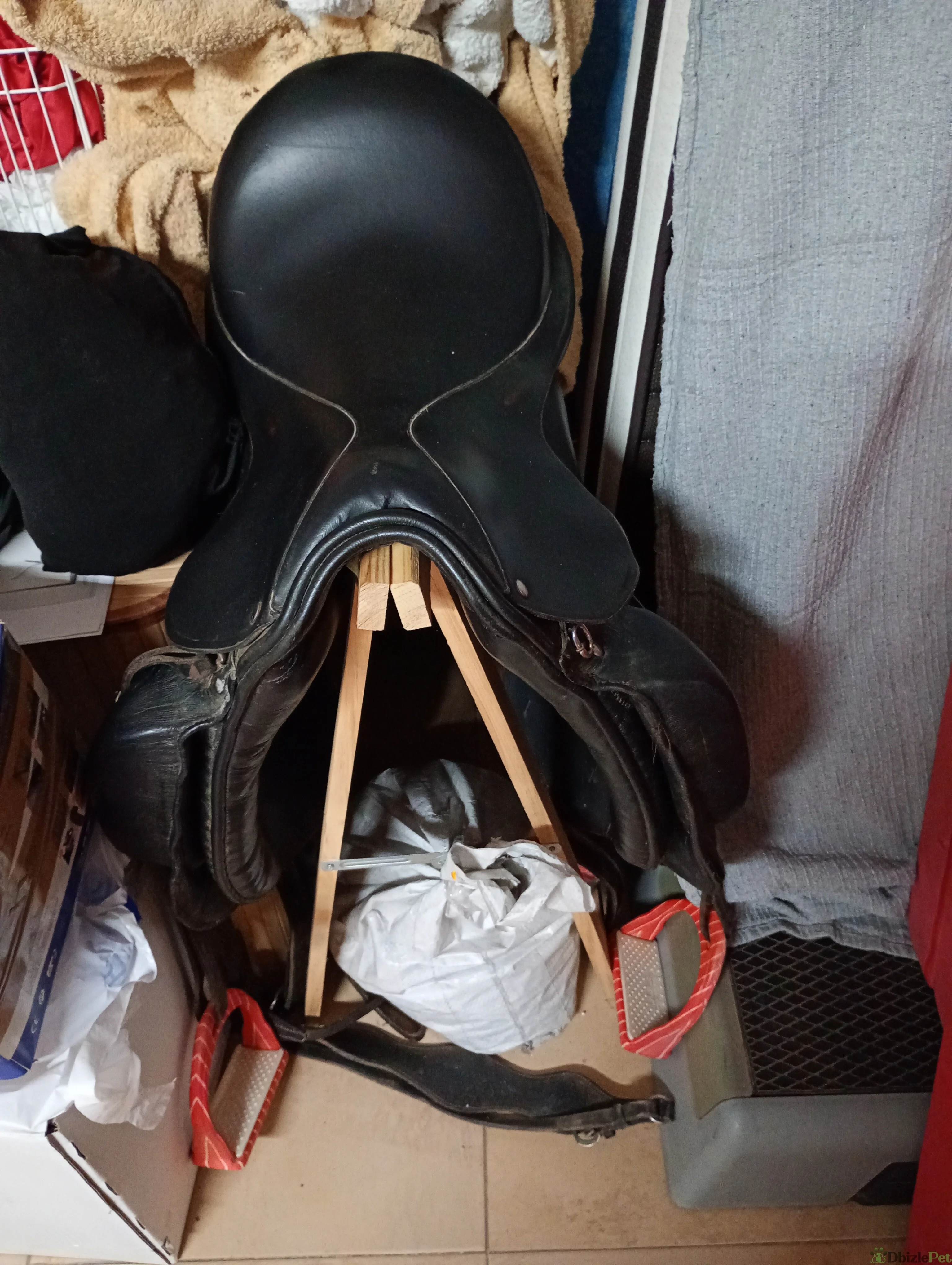 Montura caballo