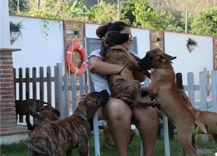 Residencia canina