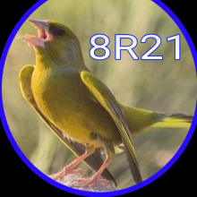 Juan Jose Correro Nunez